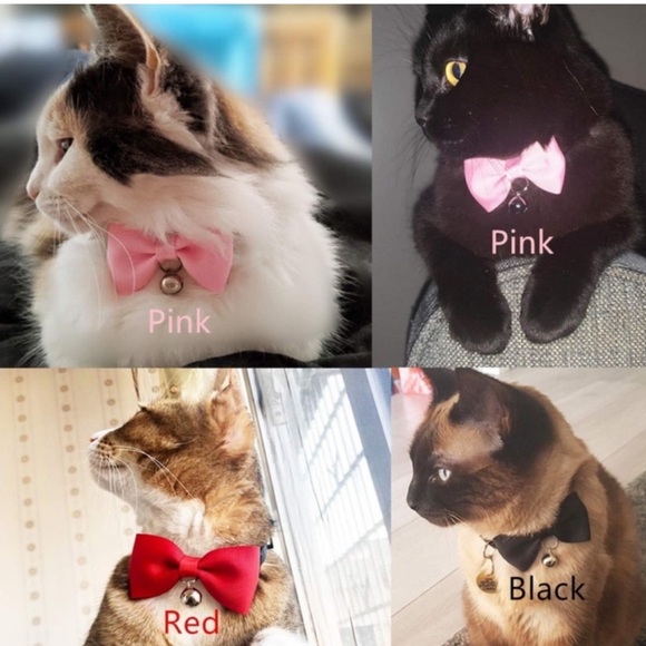 5for$10 Baby Pink Bell Cat Collar & Small Pet Collar Pet Accessories 10 Inches - Picture 8 of 10